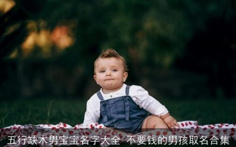 五行缺木男宝宝名字大全 不要钱的男孩取名合集