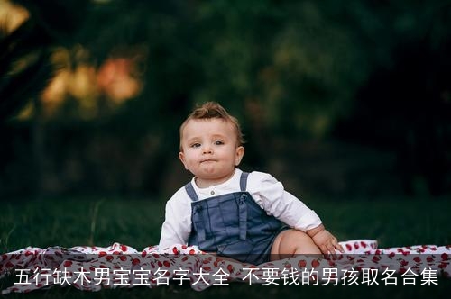 五行缺木男宝宝名字大全 不要钱的男孩取名合集