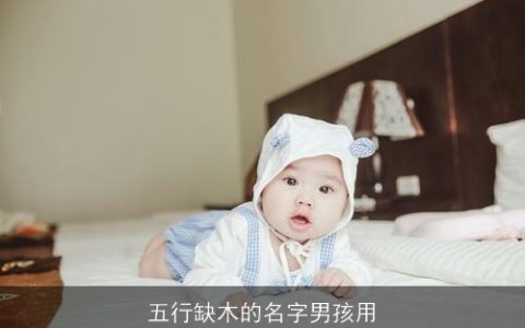 五行缺木的名字男孩用