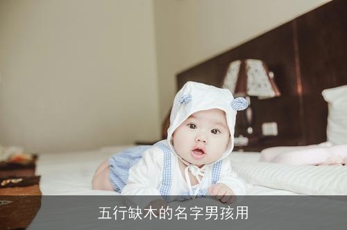五行缺木的名字男孩用