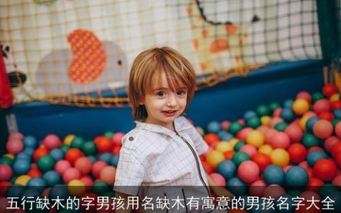 五行缺木的字男孩用名缺木有寓意的男孩名字大全