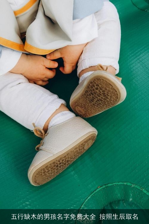 五行缺木的男孩名字免费大全 按照生辰取名