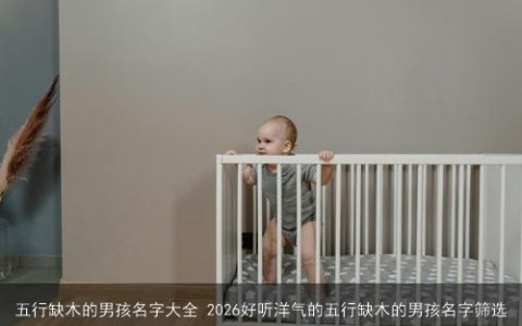 五行缺木的男孩名字大全 2026好听洋气的五行缺木的男孩名字筛选