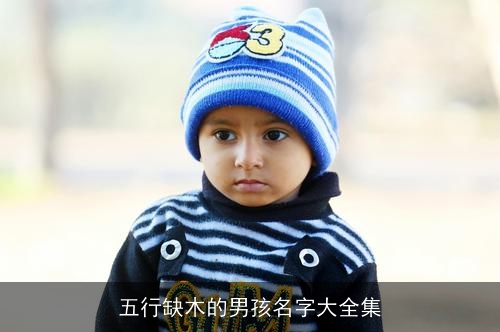 五行缺木的男孩名字大全集
