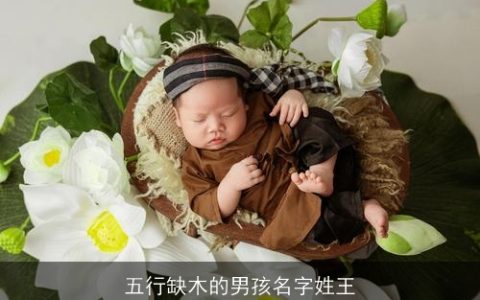 五行缺木的男孩名字姓王