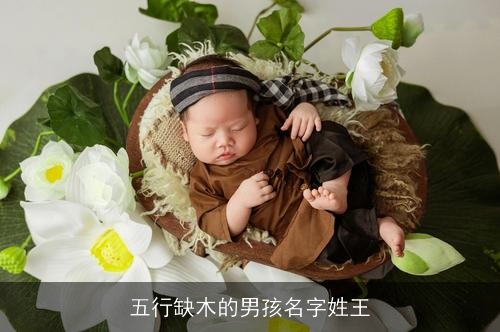 五行缺木的男孩名字姓王