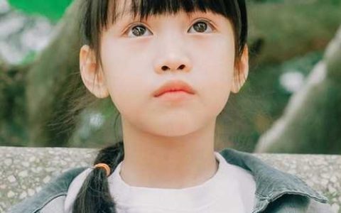 五行缺木的男孩名字洋气