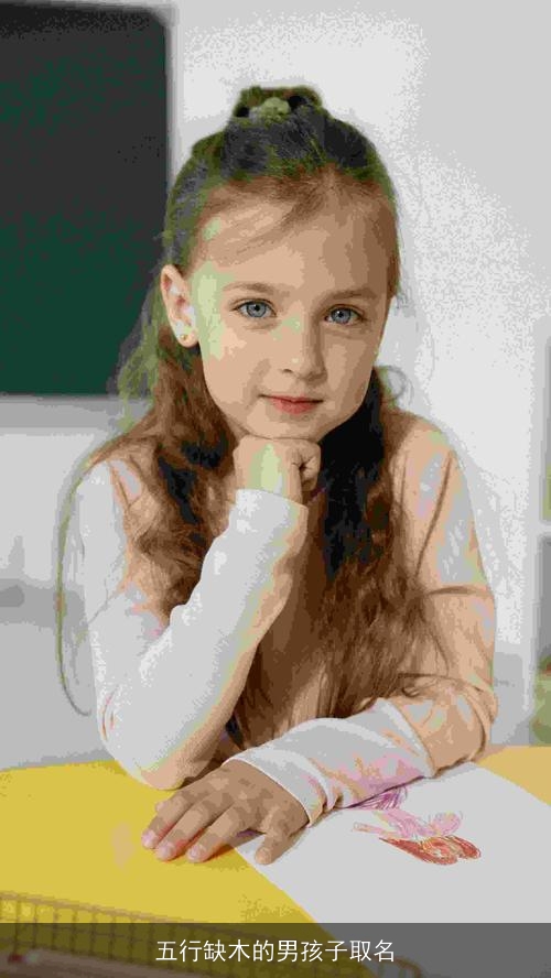 五行缺木的男孩子取名