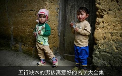 五行缺木的男孩寓意好的名字大全集