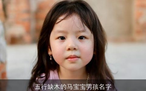 五行缺木的马宝宝男孩名字