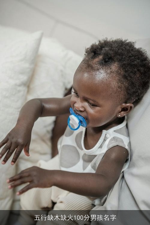 五行缺木缺火100分男孩名字