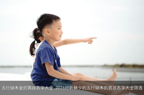 五行缺木金的男孩名字大全 2026好听稀少的五行缺木的男孩名字大全筛选