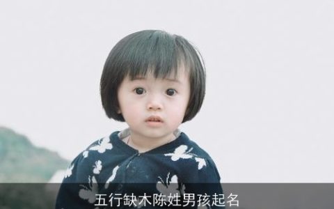 五行缺木陈姓男孩起名