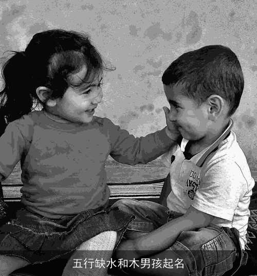 五行缺水和木男孩起名