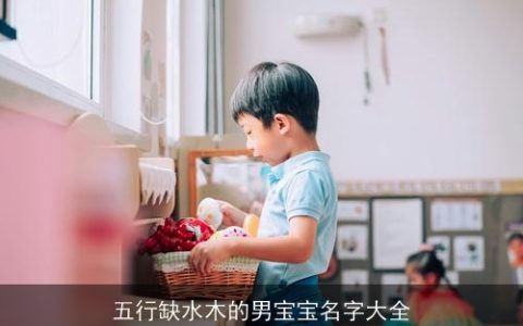 五行缺水木的男宝宝名字大全