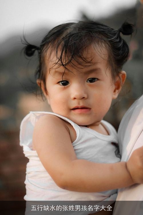 五行缺水的张姓男孩名字大全