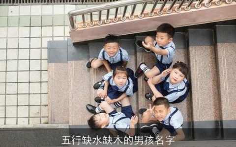 五行缺水缺木的男孩名字