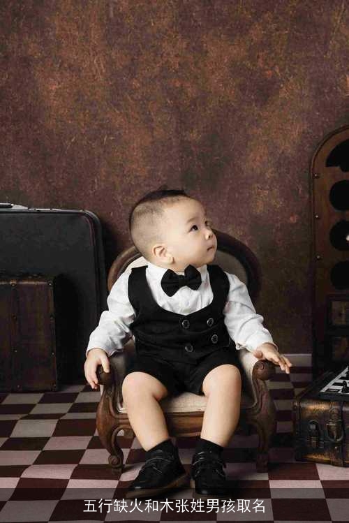 五行缺火和木张姓男孩取名