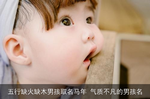 五行缺火缺木男孩取名马年 气质不凡的男孩名