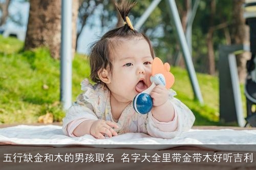 五行缺金和木的男孩取名 名字大全里带金带木好听吉利