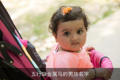 五行缺金属马的男孩名字