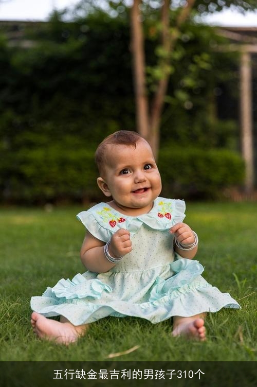 五行缺金最吉利的男孩子310个