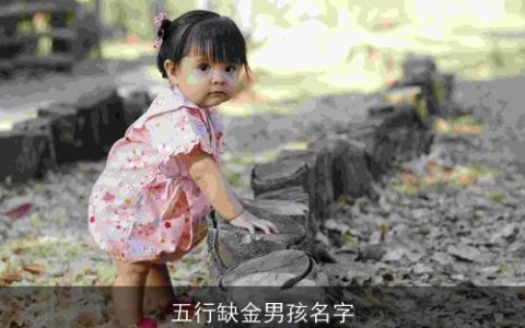 五行缺金男孩名字