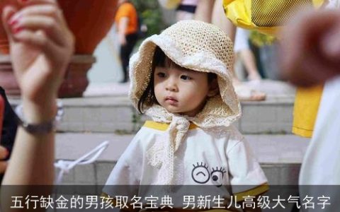 五行缺金的男孩取名宝典 男新生儿高级大气名字