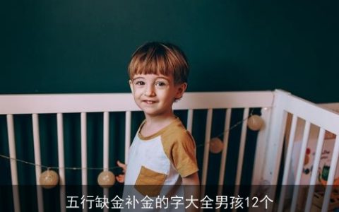 五行缺金补金的字大全男孩12个