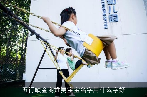 五行缺金谢姓男宝宝名字用什么字好