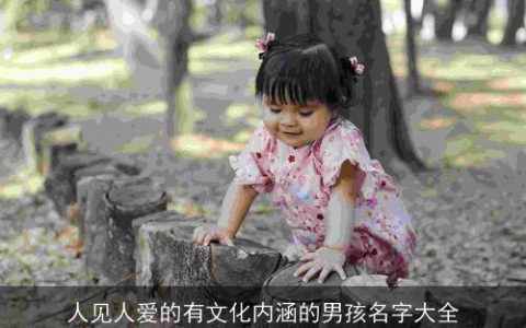 人见人爱的有文化内涵的男孩名字大全