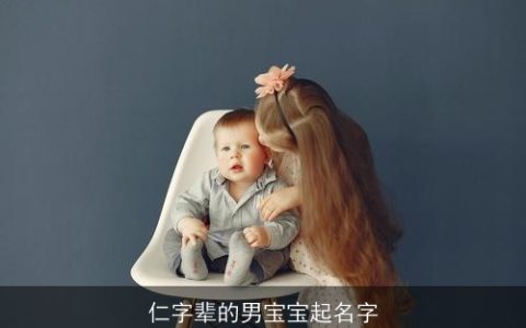 仁字辈的男宝宝起名字