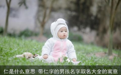 仁是什么意思 带仁字的男孩名字取名大全的寓意
