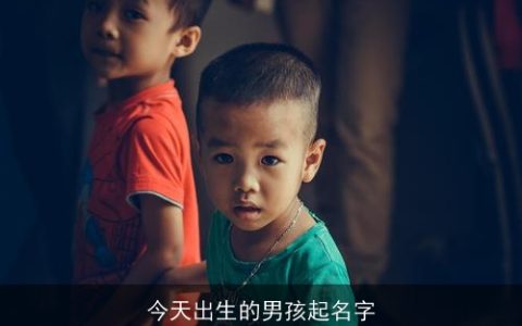今天出生的男孩起名字