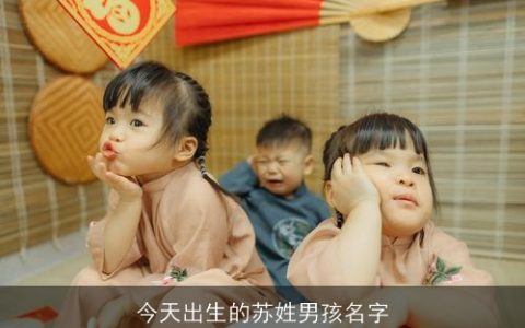 今天出生的苏姓男孩名字
