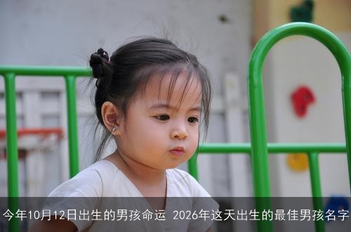 今年10月12日出生的男孩命运 2026年这天出生的最佳男孩名字