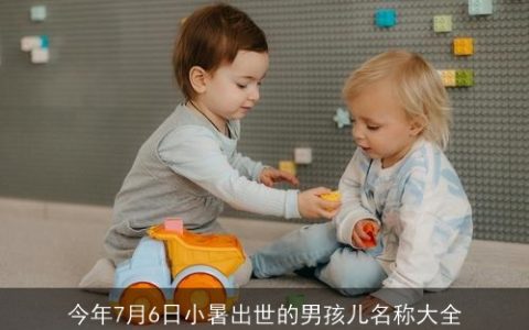 今年7月6日小暑出世的男孩儿名称大全