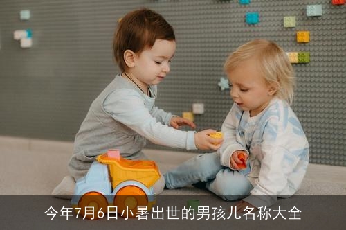 今年7月6日小暑出世的男孩儿名称大全