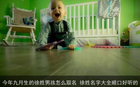 今年九月生的徐姓男孩怎么取名 徐姓名字大全顺口好听的