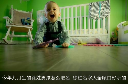 今年九月生的徐姓男孩怎么取名 徐姓名字大全顺口好听的
