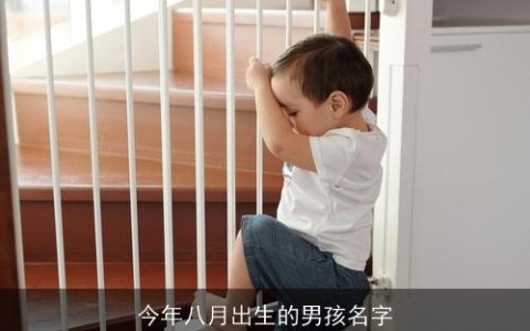 今年八月出生的男孩名字