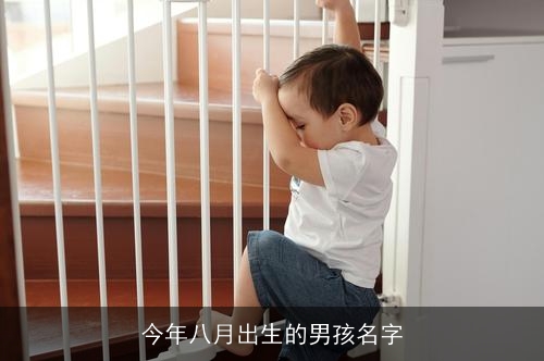 今年八月出生的男孩名字
