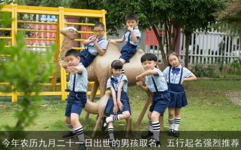 今年农历九月二十一日出世的男孩取名，五行起名强烈推荐