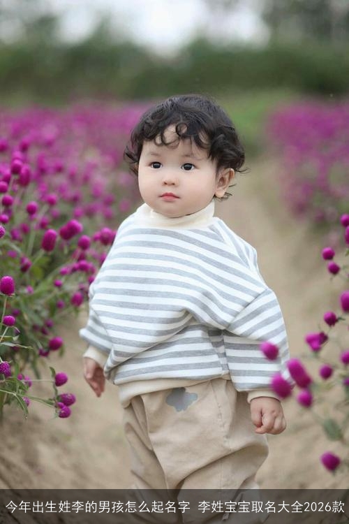 今年出生姓李的男孩怎么起名字 李姓宝宝取名大全2026款