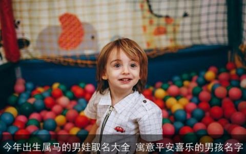 今年出生属马的男娃取名大全 寓意平安喜乐的男孩名字