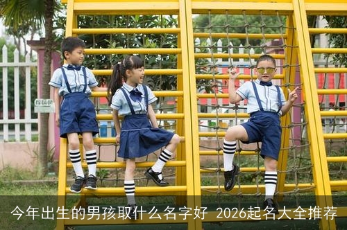 今年出生的男孩取什么名字好 2026起名大全推荐