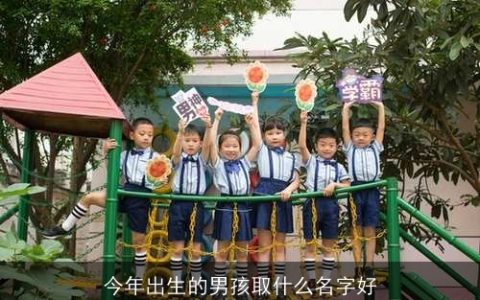 今年出生的男孩取什么名字好