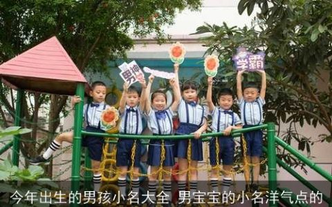 今年出生的男孩小名大全 男宝宝的小名洋气点的