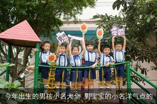 今年出生的男孩小名大全 男宝宝的小名洋气点的