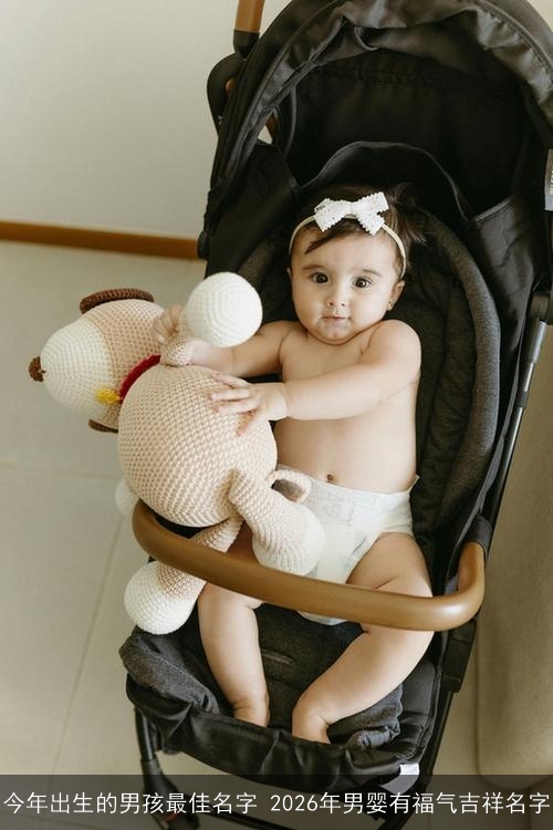 今年出生的男孩最佳名字 2026年男婴有福气吉祥名字